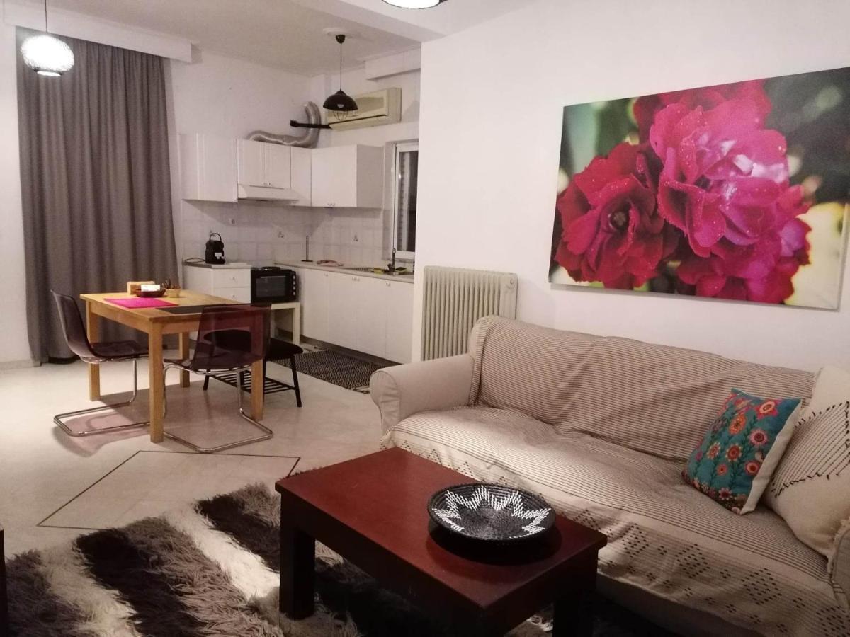 Armonia C1 Apartment *